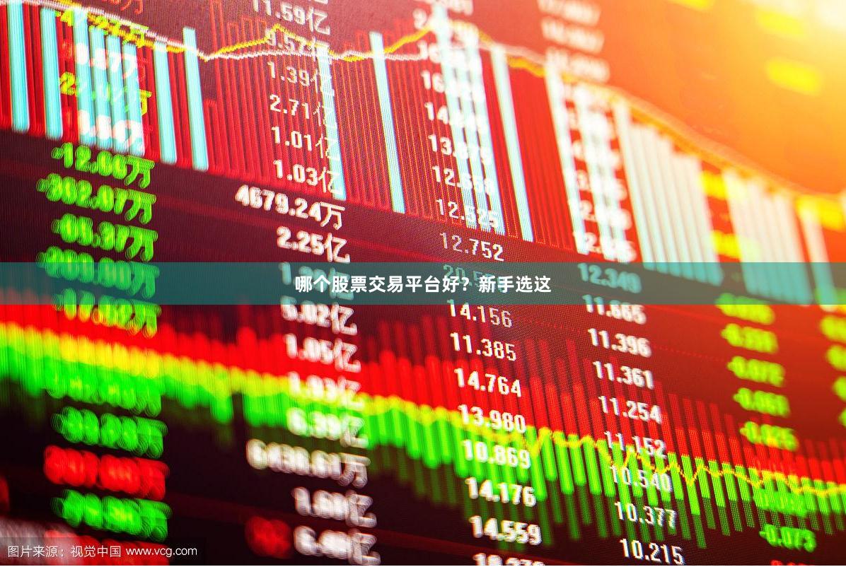 哪个股票交易平台好?新手选这